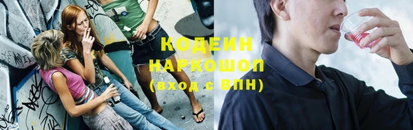 дурь Няндома