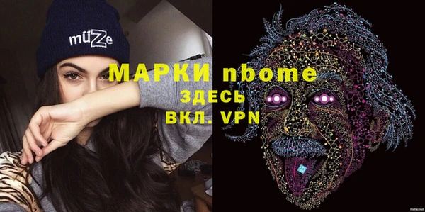 дурь Няндома