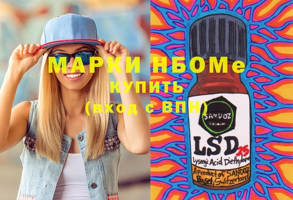 дурь Няндома