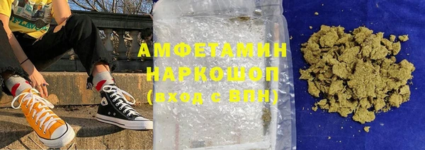дурь Няндома