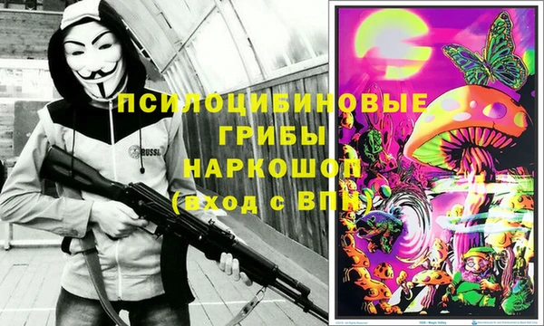 спиды Новокубанск