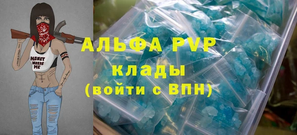 дурь Няндома
