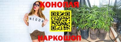 гидра Можга