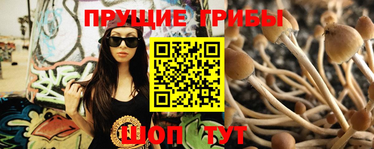 Псилоцибиновые грибы GOLDEN TEACHER  Вход с VPN  Качканар 