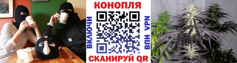 Канабис VHQ  где найти наркотики  Качканар 